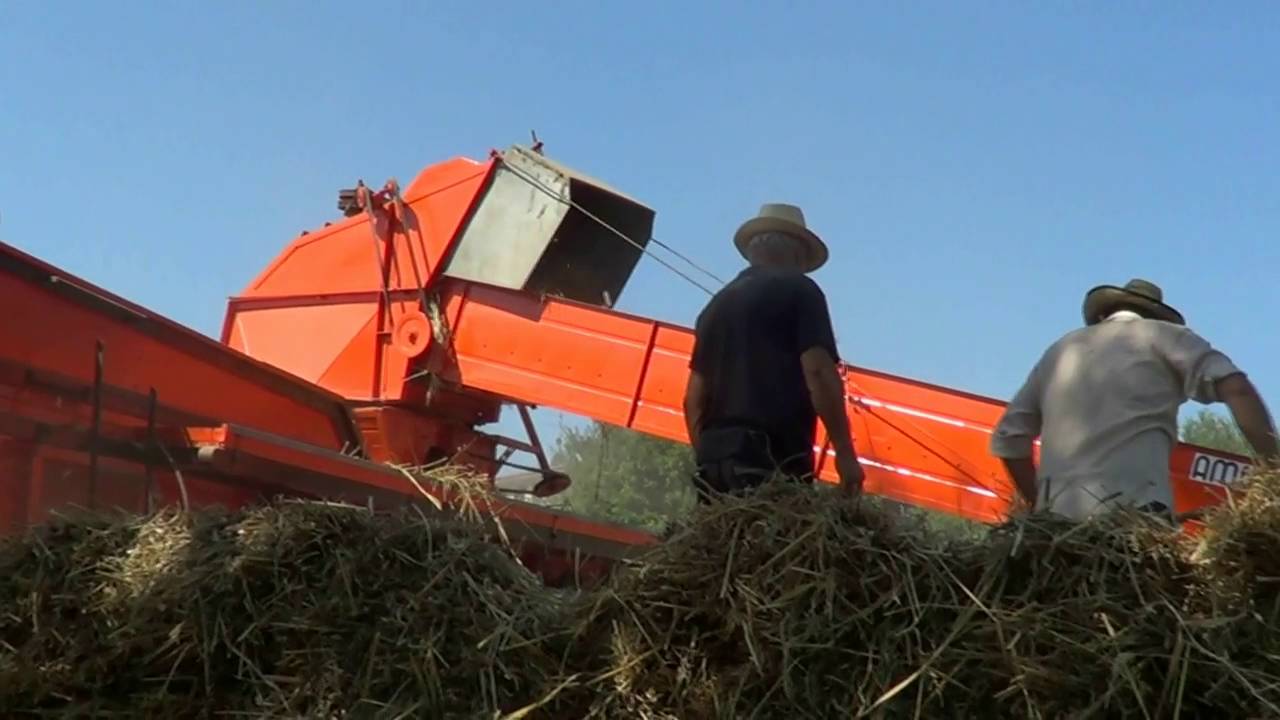 Festa Della Trebbiatura Torrice 2016