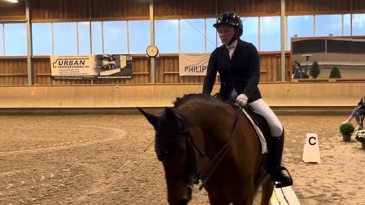 M Dressur Hof Hauenstein Krombach 2025 M3