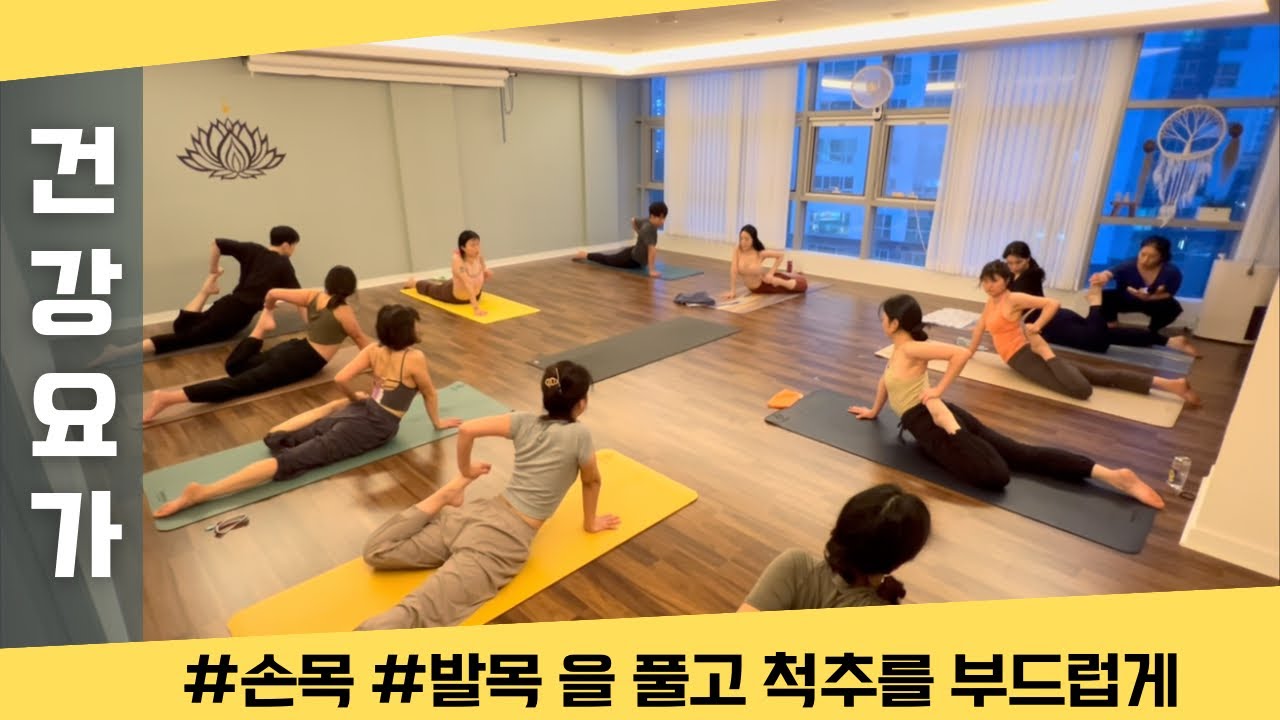 [엔젤요가] 손목과 발목 풀고 척추를 부드럽게 | 건강요가