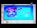 31 08 2015 أحياء ثانية ثانوي حلقة 4 النقل قي الإنسان تقديم الاستاذ حسن محرم