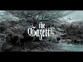 【ARISU】その声は脆く - the GazettE COVER【ガゼット】