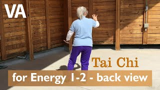 Tai Chi for Energy 1 & 2  Back View (12 of 12)