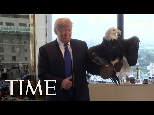 Watch Donald Trump Dodge a Bald Eagle | Person Of The Year 2015 | TIME class=