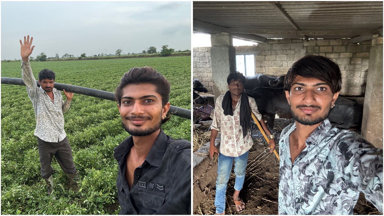 || આપડી વાડીએ કેવડા સાપ 🐍 || આજે શું લેવા જવાનું થયું ||