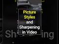 Differences with Picture Styles in Video Mode #canoncamera