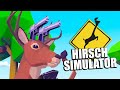 Der (völlig verrückte) HIRSCH Simulator