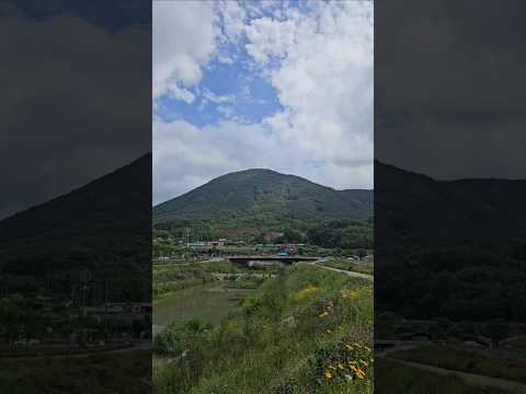 #장민호노래 / 서울 가 살자 ♧♧