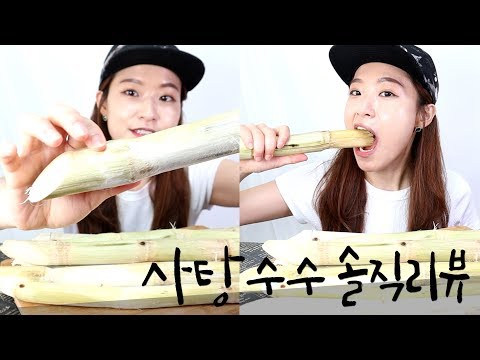사탕수수 솔직리뷰 : 맛있게 먹는 방법 및 보관법 팁까지 !!