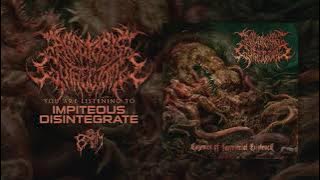 APOPTOSIS GUTRECTOMY - Impiteous Disintegrate