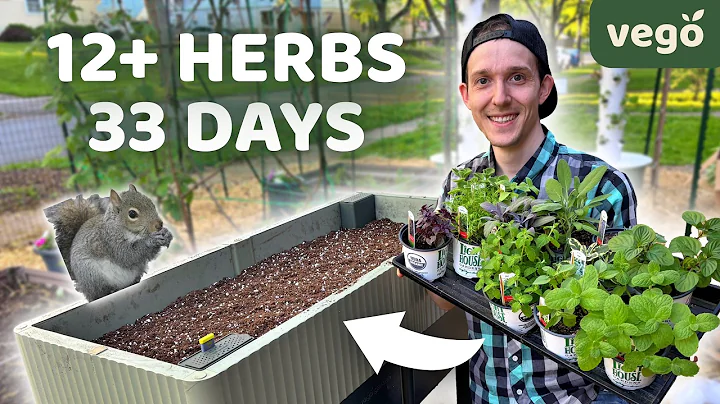 Honest Review: Vego Garden EZCube Self Watering Planter with 12+ Herbs for 33 Days!