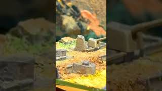 Atlantic Wall reveal! #kitbash #ww2 #militaryhistory #germany #history #scalemodel #miniature #war
