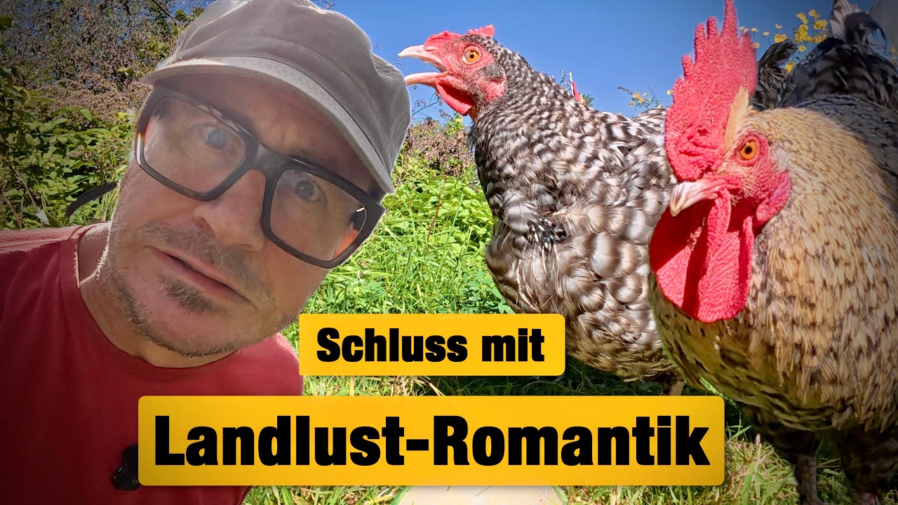 ACHTUNG: So viel Arbeit hast du mit Hühnern, Garten und Selbstversorgung!