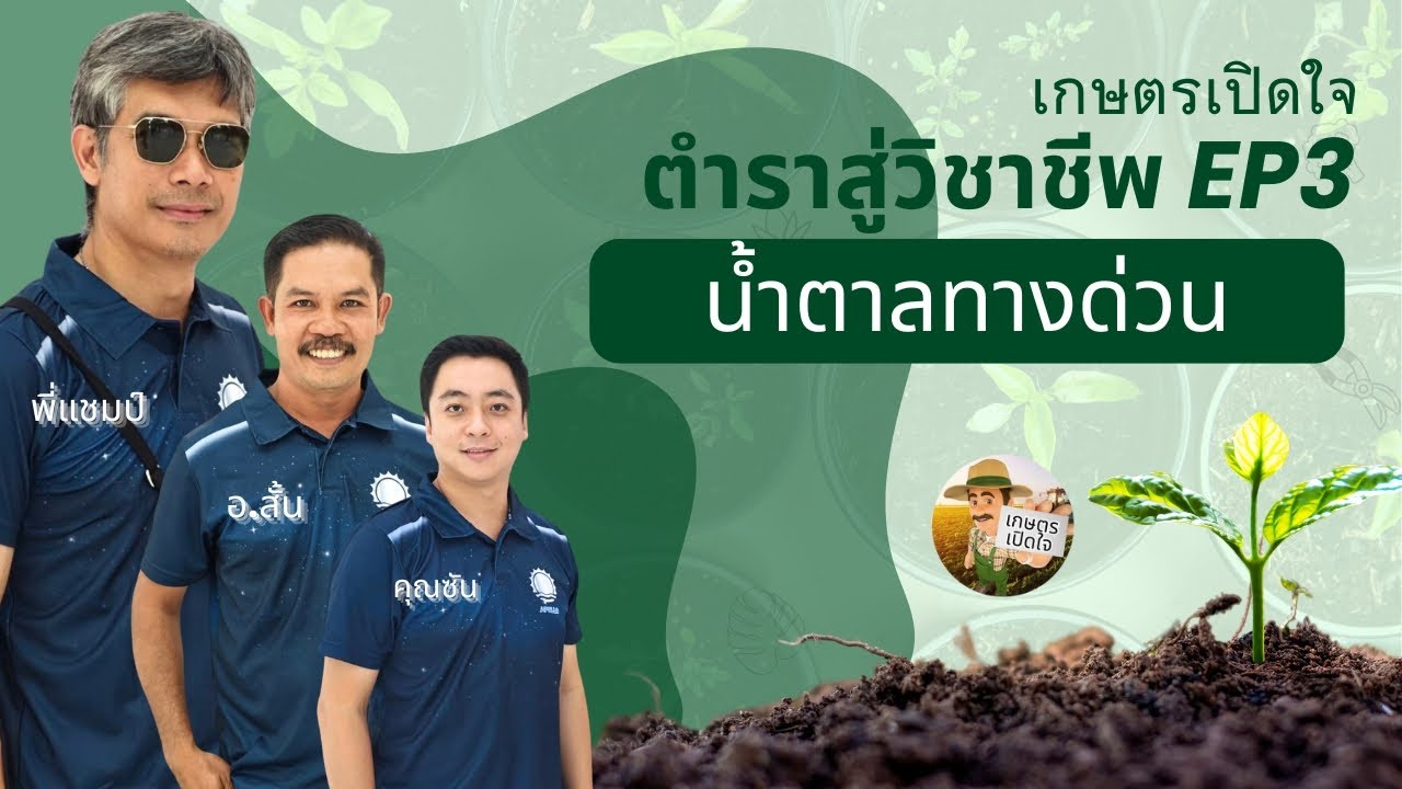 ตำราสู่วิชาชีพ EP3 น้ำตาลทางด่วน กลุ่มพลังงาน มีที่มาที่ไป ใช้งาน เหมาะสม อย่างไร