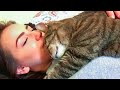 Snuggle time is coming cute cats and their owners sleep together