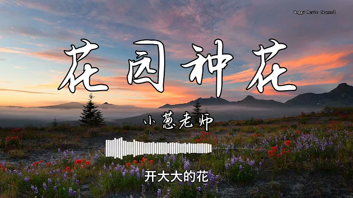 小蔥老師 - 『花園種花』 - 【動態歌詞版】 - 天天要聞