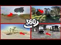 Did You See This?! Trevor Henderson Creatures in 360°