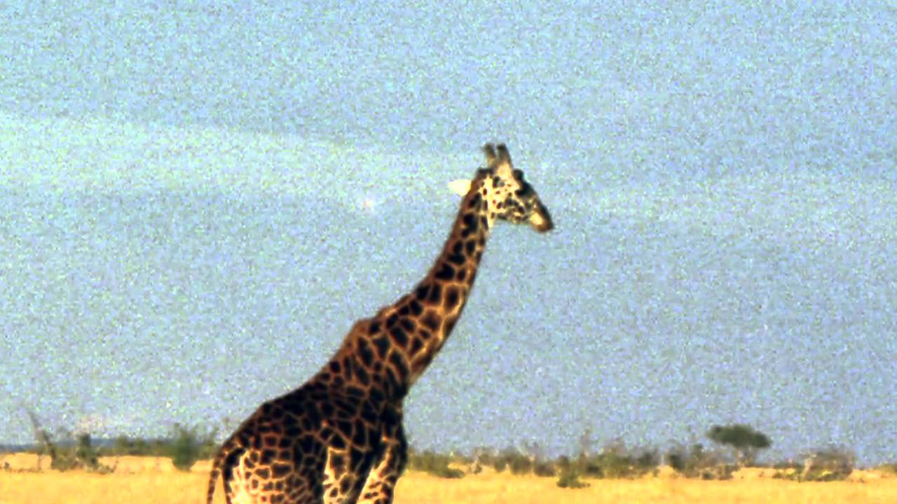 CHANGE IS SO DIFFICULT - 4TH song in DVD POSSIBILITIES-THE PRONOIC PHOTOSONGBOOK