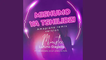 Mishumo Ya Tshilidzi (feat. Mr Brown, DJ LP Levels & Fafa) (Remix)