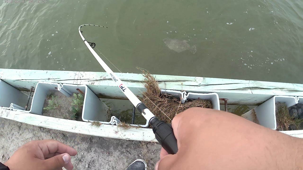 Flounder on zman slam shady YouTube