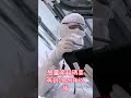 三星、海力士防線崩潰？台灣靠「這門黑科技」降維打擊，韓國半導體的寒冬真的來了！#台積電 #三星 #海力士 #半導體芯片 #黑科技 #台灣科技