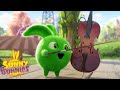 SUNNY BUNNIES - SEASON 7 HITS | Cartoons for Kids