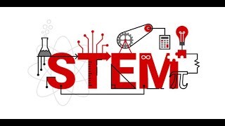 DMMSI STEM Programs