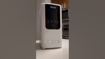 Humidifier why you need one?