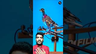 Ai video kaise banaye | Best Text to Video Ai Generator Ai se video kaise banayeFullAiCourse#aivideo