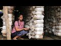 Cooking Oyster Mushroom in my homeland - Polin Lifestyle