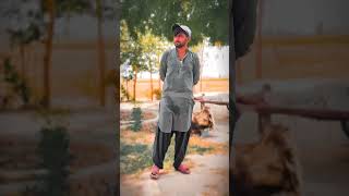 haiderium ❤✨ #imamalias #love #ytshorts #song #imamhusayn