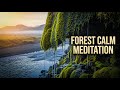 ⚡ FEEL THE PEACE‼️ Flowing River in Nature 🌿 Sleep Fast | Calming Soundscape
