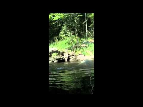 Video: Farmington River Tubing is 'n Connecticut-someropwinding