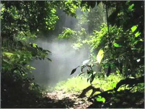 ROXAS ORIENTAL MINDORO Tourism Promotional Video ( Philippines)