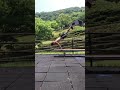 SNSで大バズりの神業!!ドラゴンフラッグプランシェ#shorts