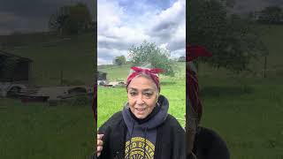 Taurus, Excitement, Relationships and the Inner Spark!