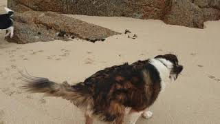 Porthcurno Beach Video 2