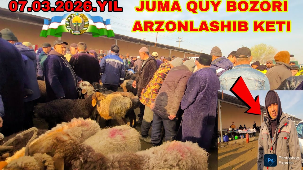 07.03.2026 YIL SAMARQAND JUMA QUY BOZORI NARHILAR JUDA TUSHIB KETI  ENDI JUDA ARZON BULADI