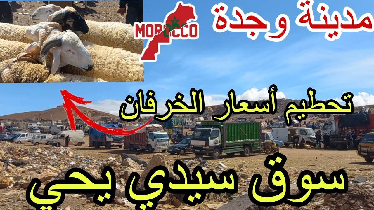 وجدة2025\03\07انهيار غير مسبوق في أسعار الخروف إلى النصف بسوق سيدي يحي ثمن الخضر والفواكه جولة رائعة