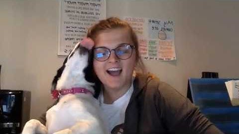 4/ 22 - Multiplying using Standard Algorithm (Ms. Carloni Video Lesson)