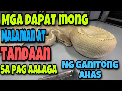 Video: Ano ang uri ng bagay sa Python?