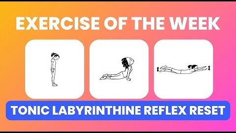 🌊 Exercise of the Week: Tonic Labyrinthine Reflex Reset!