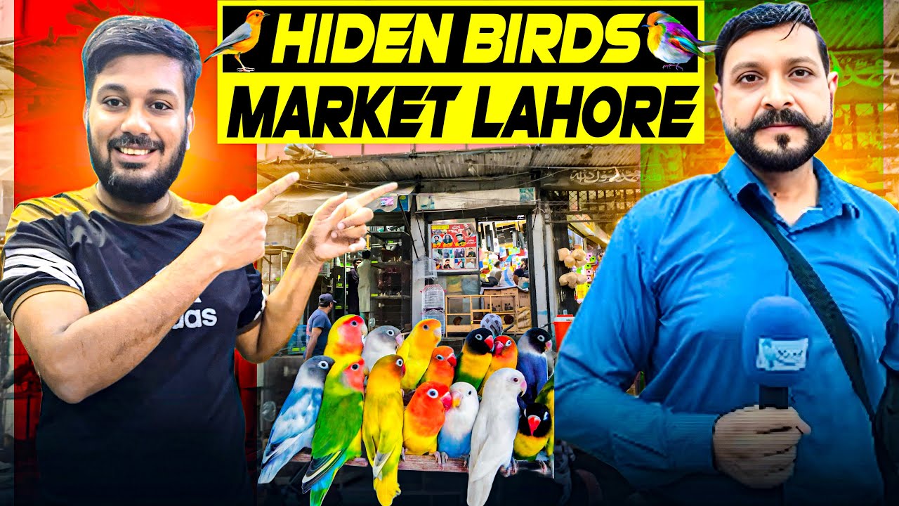 Рынок Лахор Май Чупи Найяб Париндо ке 🦜 Птичий рынок Чаудри | @Ranapets @Funwithimran410