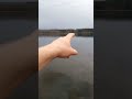 #fishing Had A Lake To Myself Upstate Ny