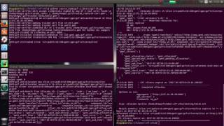 Virtual Machines discovery and provisioning using GENI API