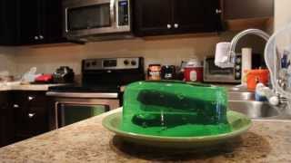 Stapler in Jello Prank from The Office