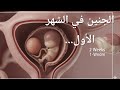 الجنين في الشهر الأول من الحمل