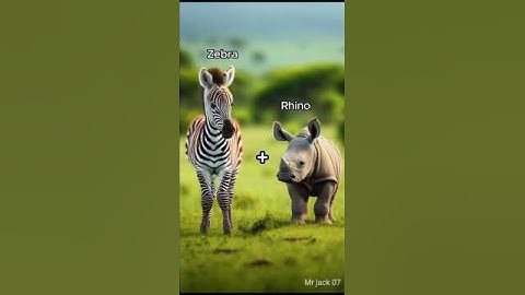 Animation mini animal ☺️ #shorts #shortsvideo #shortsfeed
