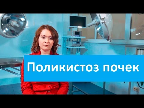 Поликистоз почек. Ветеринарная клиника Свой Докторо поликистозе почек