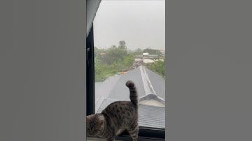 Cửa lùa Xingfa ngăn nước và chống ồn  #hcwindow #cuanhom #xingfa