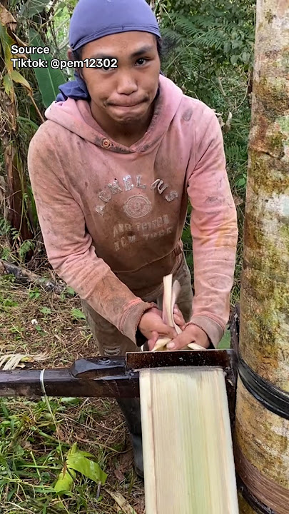 Serat Alami Dari Pelepah Pisang